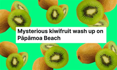 myuster|A brief history of New Zealand’s weirdest mystery food dumps.